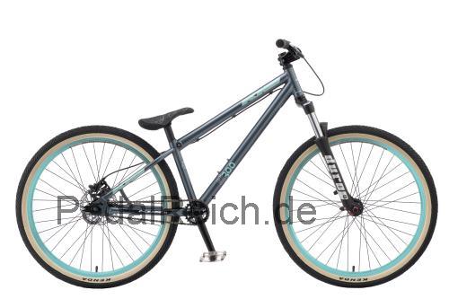 KHS SJ300  technische daten 